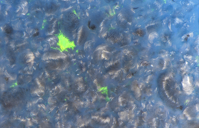 Blue opal contains unusual curled fiber inclusions.