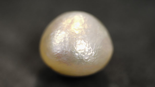 Figure 1. This 9.92 ct white natural pearl displayed a subsurface hammered effect. Photo by Gaurav Bera.