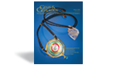{Download this issue} - image