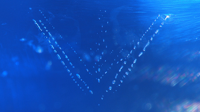 Negative crystals arrayed in an arrow-like pattern. Photomicrograph by Suwasan Wongchacree; field of view 1.07 mm.