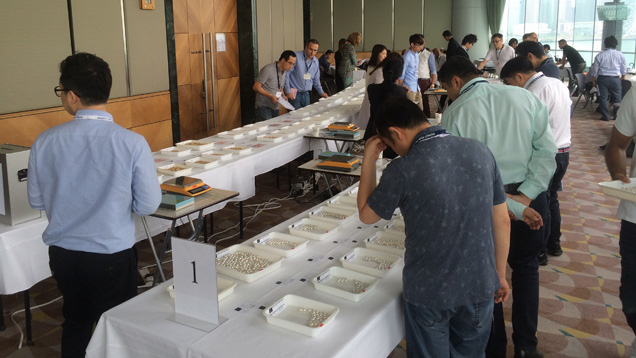 买家在香港会展中心举办的第 53 届 Paspaley（帕斯帕雷）珍珠拍卖会上检查各批白色南海珍珠和金色珍珠。 买家把每批珍珠的书面竞价放入一个密封的盒子中，在为期三天的销售会闭幕时打开。 摄影：Russell Shor（罗素·肖尔）/GIA