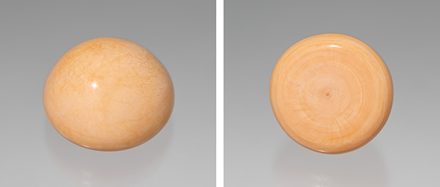 Figure 2. Melo “half pearl” weighing 57 ct. Photo by Robert Weldon; courtesy of Aloha Pearls Hawaii.