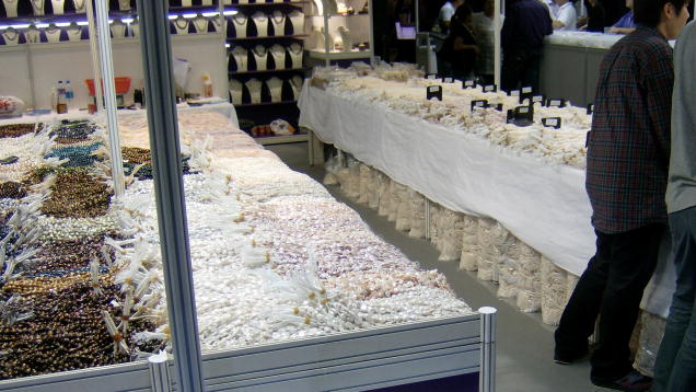 Shor 香港展览