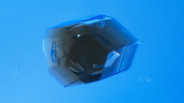 This tourmaline inclusion in a 1.81 ct Kashmir sapphire contains a few unusual “daughter” crystals with rounded edges. Photomicrograph by Yusuke Katsurada; field of view 0.73 mm.