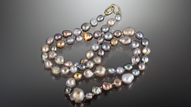 Figure 1. This necklace contains 63 variously colored and shaped Mexican pearls from Pteria and Pinctada species and the Pinnidae family, measuring from 4.88 mm to 10.75 × 9.32 mm. Photo by Annie Haynes.