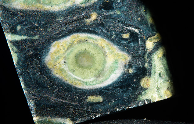 This rock fragment displays a pattern reminiscent of a human eye.