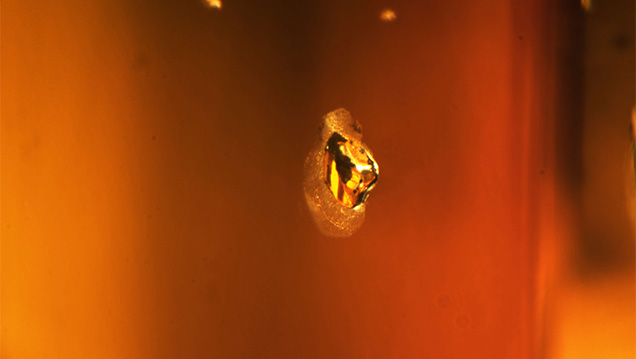 This anhedral crystal formed a halo after HPHT treatment.