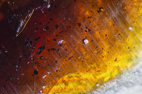 Gas bubbles and debris in the shellac.