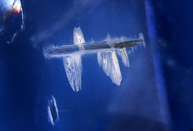 A large prismatic pargasite mineral inclusion