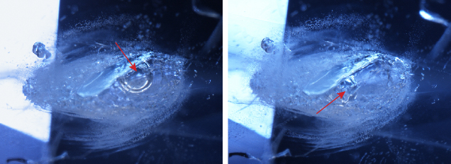 Sapphire containing a negative crystal with a mobile CO2 bubble.