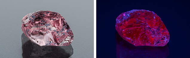 Figure 1. Left: This 3.07 ct purplish pink “dragon” garnet, as seen in daylight-equivalent lighting, displays eye-visible blue apatite inclusions. Right: Red fluorescence in the garnet due to chromium, as seen using long-wave UV. Photos by Jessa Rizzo; courtesy of Ravenstein Gem Co.