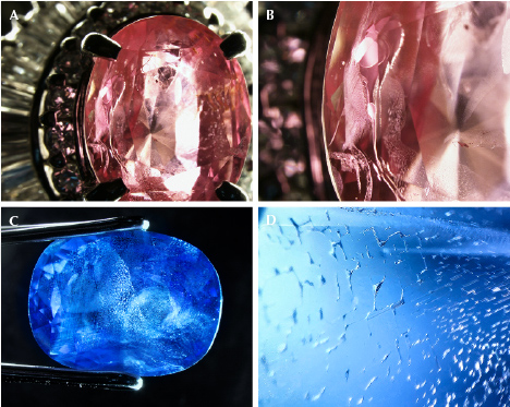 Figure 1. Various negative crystals in pink sapphire from Sri Lanka (A, enlarged in B) and fingerprints in blue sapphire from Myanmar (C, enlarged in D). Image B shows bubbles in flat negative crystals, and the center negative crystal in D has a bubble. Photomicrographs by Momo Matsumura (A and B) and Shunsuke Nagai (C and D); fields of view 4.05 mm (A), 8.15 mm (B), 8.47 mm (C), and 1.71 mm (D).