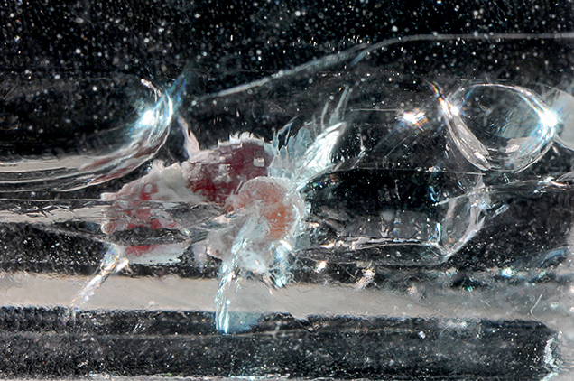 Tension cracks in quartz.
