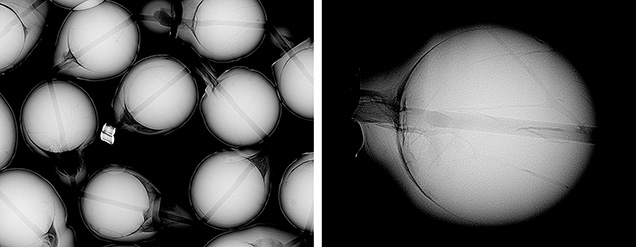 Figure 2. RTX imaging revealed shell bead nuclei approximately 12 mm in diameter entirely covered by the pearl’s approximately 1 mm thick nacre (left), with numerous parasite channels in the beads (right).