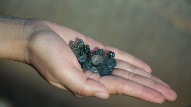 Hand holding rough sapphires