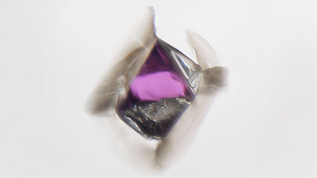 A purplish pink xenomorphic octahedral garnet crystal seen in a diamond. Note the trigons on the upper right octahedral face and stress fractures around the intersections of the crystal faces. Photomicrograph by Britni LeCroy; field of view 1.26 mm.