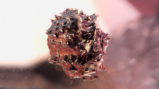 A view through the table of a padparadscha sapphire displayed this jagged suspended crystal, likely a metal sulfide, featuring a rare texture. Photomicrograph by Courtney Robb; field of view 2.90 mm.