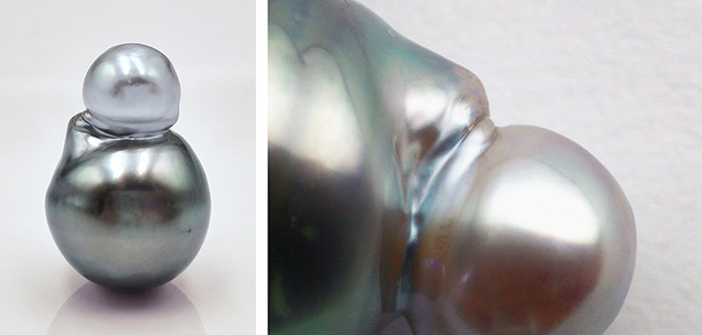 Figure 1. Left: This gourd-shaped saltwater bead cultured pearl (2.04 g and 15.90 mm high) displays two different colors. Right: Magnification indicates that the two parts grew together naturally. Photos by Yanhan Wu.