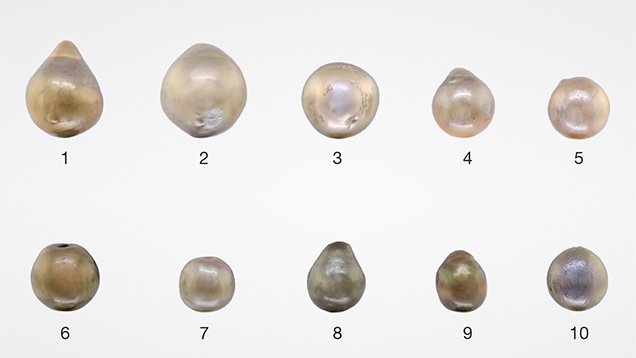 Loose pearls submitted for identification.