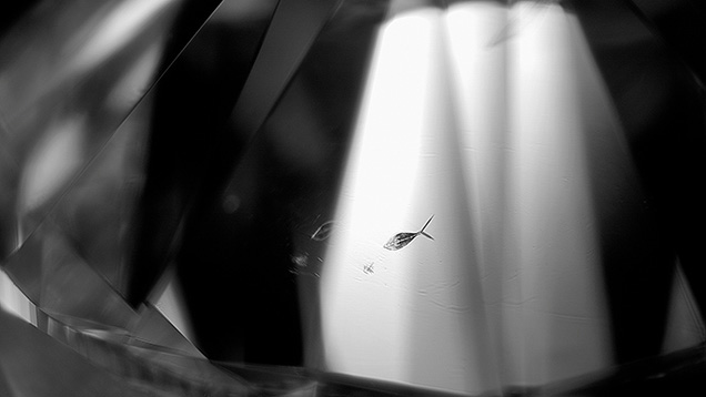 Figure 2. A mirrored feather in diamond resembles a small fish swimming through sunlit waters. The image was captured in monochrome. Photomicrograph by Russel Carvalho; field of view ~8 mm.