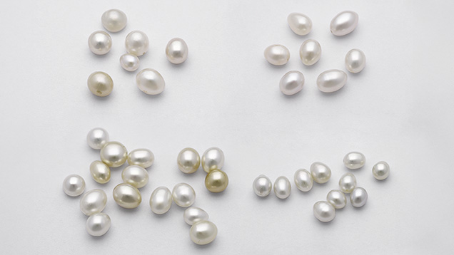 Lot of 40 drop and oval pearls, with the smallest weighing 0.62 ct and measuring 5.17 × 4.16 mm and the largest weighing 2.95 ct and measuring 9.53 × 6.65 mm. Photo by Gaurav Bera.