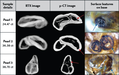 Figure 3. RTX images, μ-CT images, and photomicrographs of the three pearls. The dark organic-rich voids are marked with red arrows, and the external weakened organic-rich areas on the surface are marked with blue arrows. Photomicrographs by Karan Rajguru; fields of view 9 mm (pearl 1) and 16.3 mm (pearls 2 and 3).