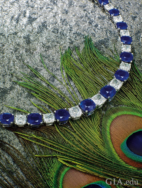 A necklace of cushion cut sapphires and diamonds lies on top of peacock feathers.