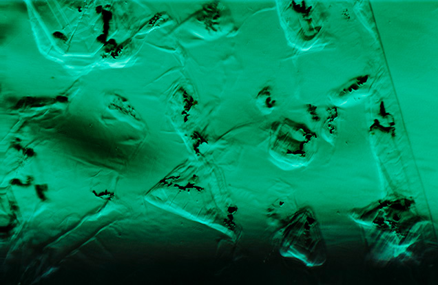 Gota de Aceite in an emerald from Zambia.