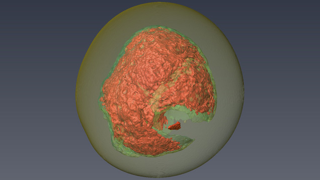 3-D modeling software for pearls