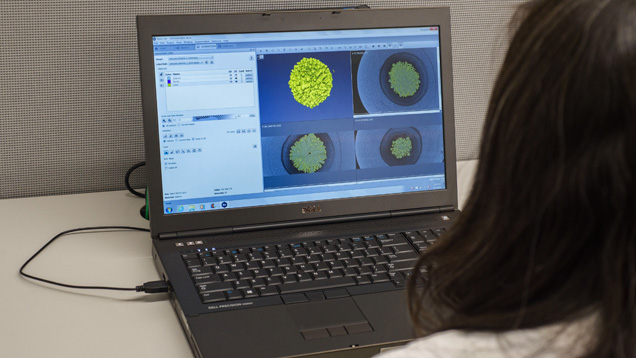 Computed X-ray microtomography μ-CT images of the internal structure of a pearl