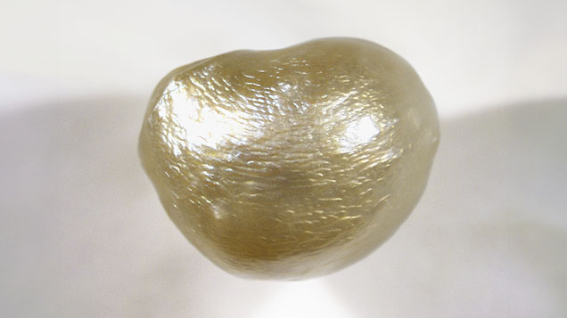 Figure 1. A 4.61 ct non-bead cultured freshwater pearl with a bumpy surface. Photo by Wing Kiu Fan.