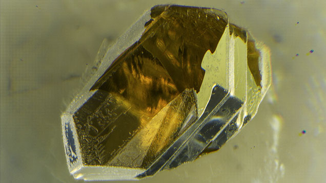 Photomicrograph showing olivine within labradorite