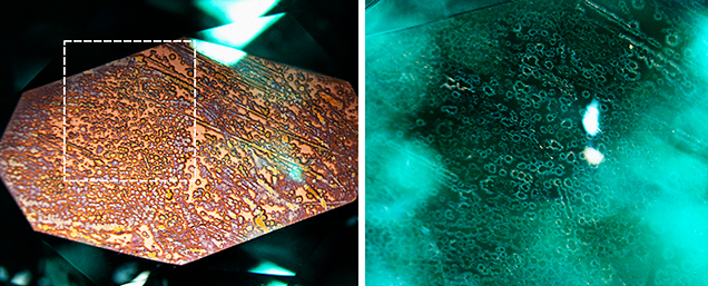 Submetallic coating and surface structures.