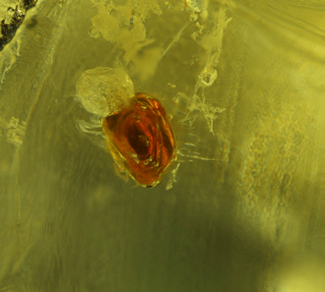 Sphalerite inclusion in Namibian demantoid.