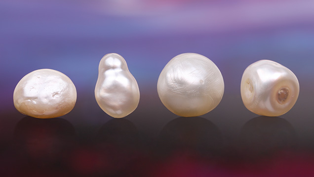 Figure 1. Four loose atypical bead cultured pearls weighing 3.30 to 8.53 ct. Pearls 1–4 are shown from left to right. Photo by Gaurav Bera.