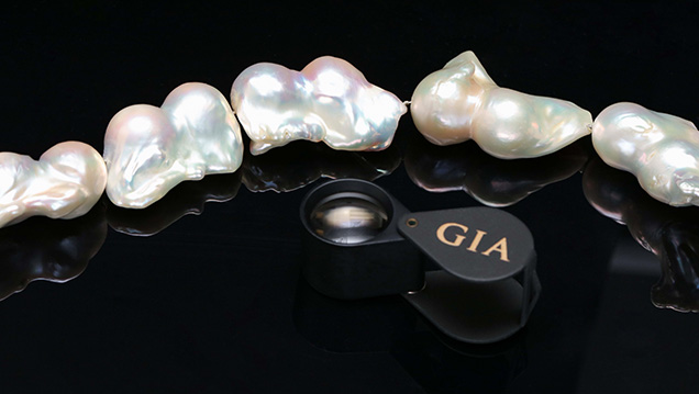 Internal twin bead structures correspond to a shape like a dumbbell or peanut shell.