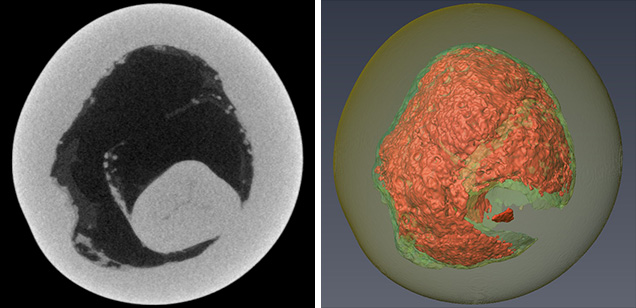 2-D (left) and 3-D (right) μ-CT slices of a pearl