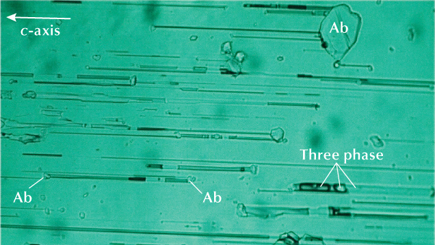 Tubular three-phase inclusions with albite (Ab) at each end in a natural Colombian emerald. These inclusions are oriented parallel to the c-axis of the crystal. Photomicrograph by Javier Toloza; field of view 0.95 mm.