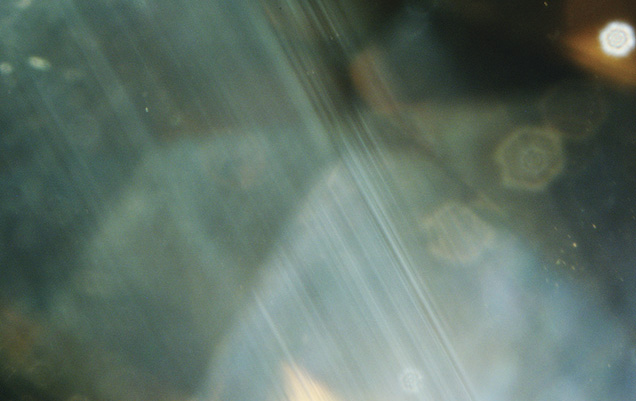Zambian Citrine photomicrograph
