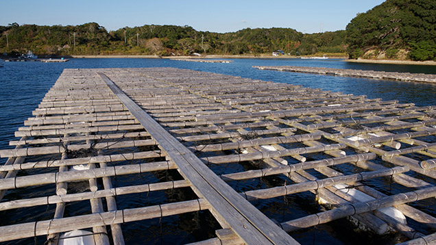 A view of the Mikimoto pearl farm in Ago Bay, Japan. Photo: Valerie Power/GIA