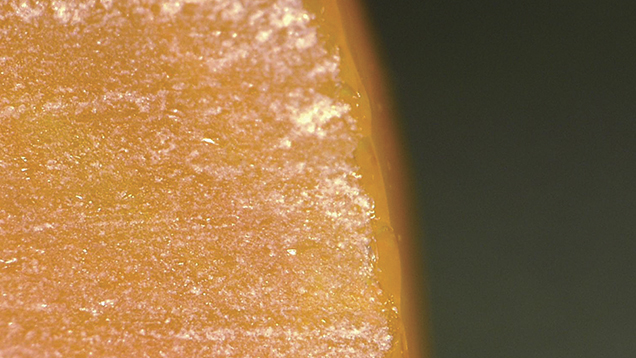 Cross-section fire opal Cross-section fire opal