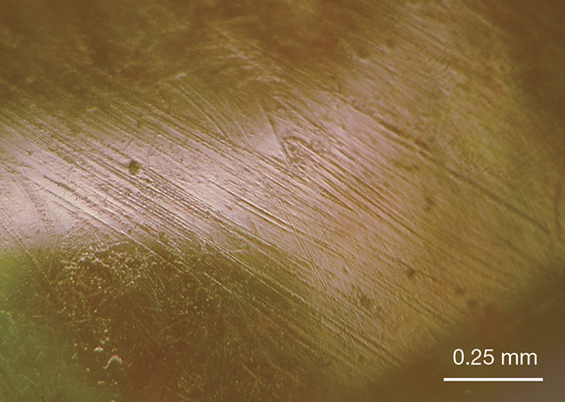 Surface scratches Surface scratches