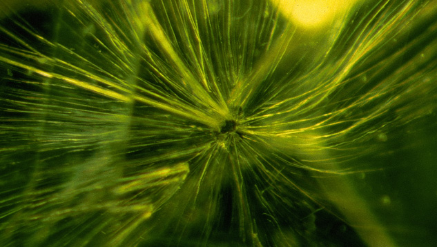 Demantoid Garnet with Horsetails Demantoid Garnet with Horsetails