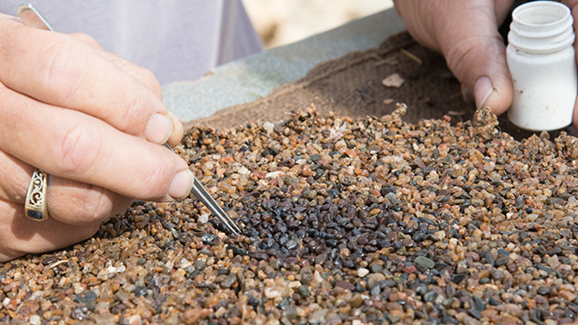 Hands sorting material and picking stones Hands sorting material and picking stones