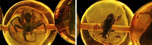 FA13-GNI FA13-GNI