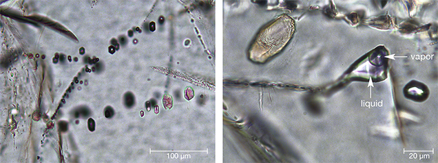 Inclusions in grandidierite from Tranomaro, Madagascar