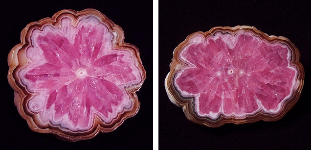 Trapiche-like rhodochrosite “flower” from Capillitas mine, Argentina