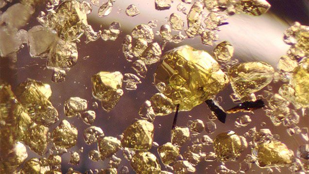 Figure 2. Bright yellow inclusions with polyhedral shapes, often with triangular faces, accompanied by a small number of very dark brown crystals. Photomicrograph by Aurélien Delaunay; field of view 2.2 mm. Figure 2. Bright yellow inclusions with polyhedral shapes, often with triangular faces, accompanied by a small number of very dark brown crystals. Photomicrograph by Aurélien Delaunay; field of view 2.2 mm.