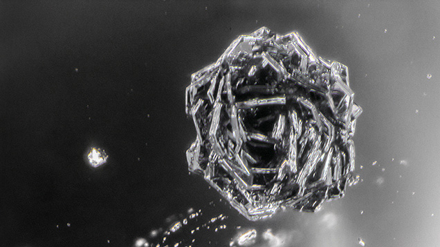Figure 2. This opaque black hematite inclusion in one of the quartz spheres is composed of numerous platy inclusions arranged in the shape of a rose. Photomicrograph by Nathan Renfro; field of view 2.40 mm.