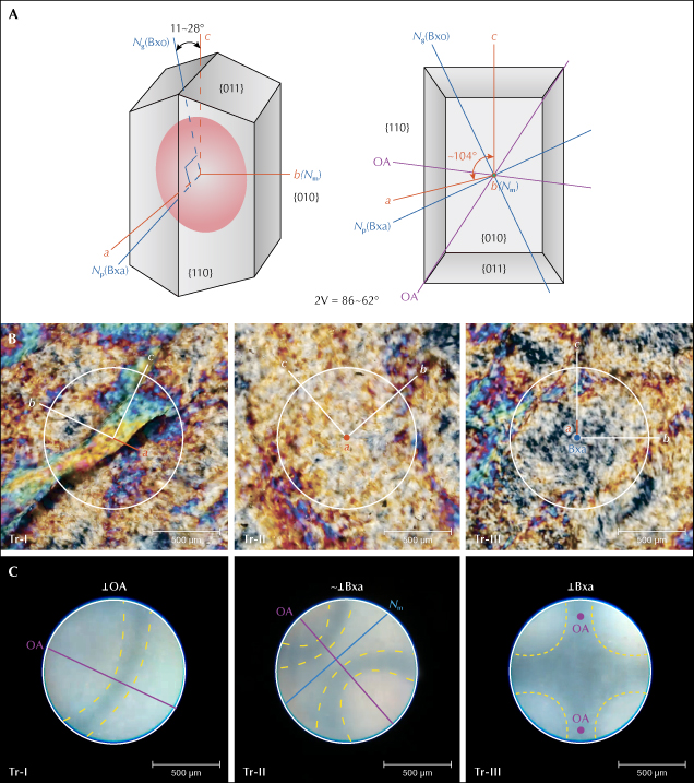 Diagrams and images illustrating crystallographic orientations and textures, with labeled axes and features. Scale bars included.